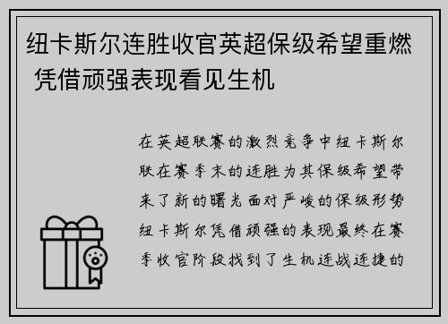 纽卡斯尔连胜收官英超保级希望重燃 凭借顽强表现看见生机