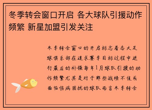 冬季转会窗口开启 各大球队引援动作频繁 新星加盟引发关注