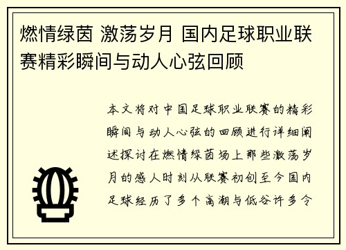 燃情绿茵 激荡岁月 国内足球职业联赛精彩瞬间与动人心弦回顾
